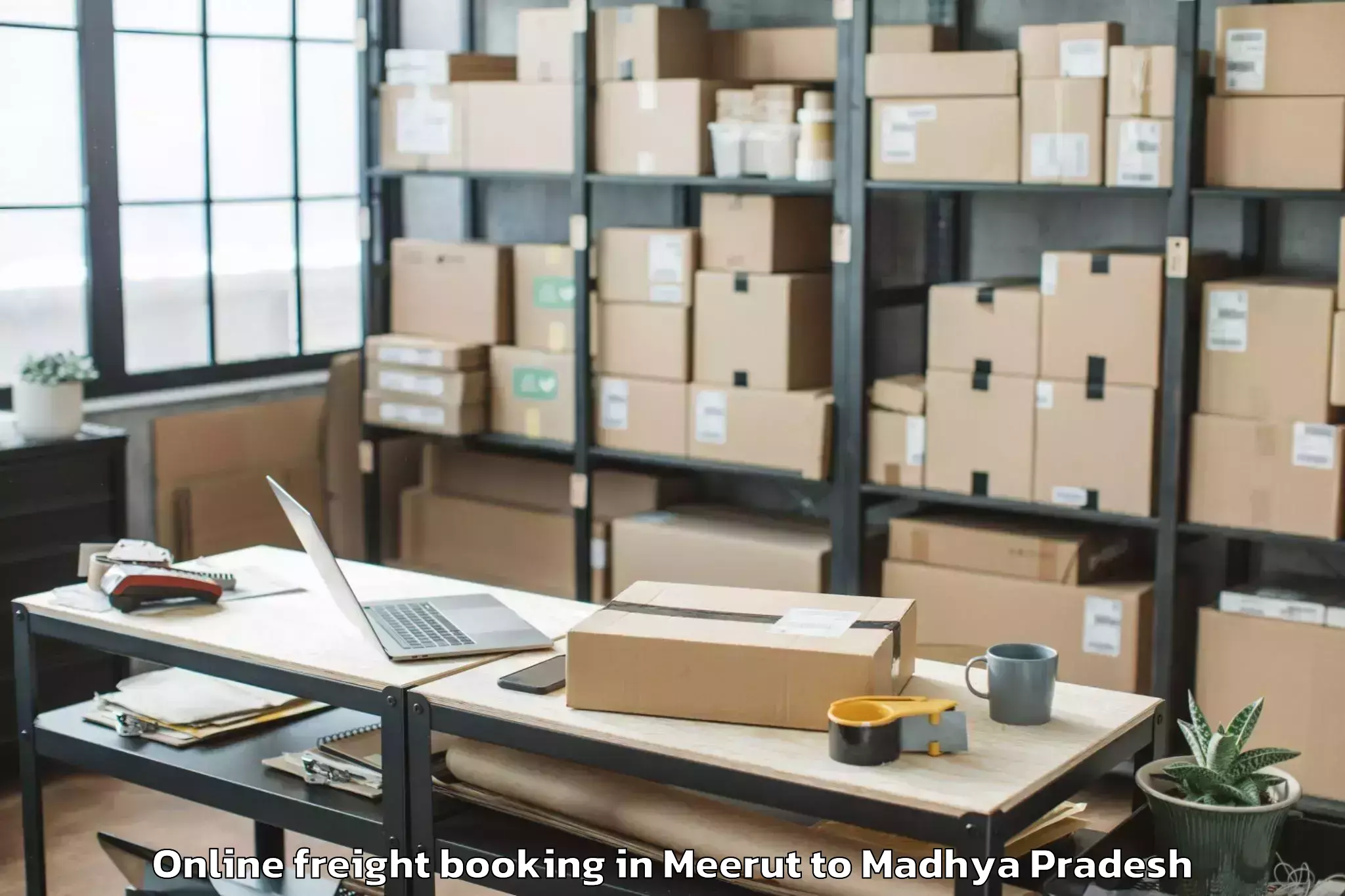 Efficient Meerut to Sanwer Online Freight Booking